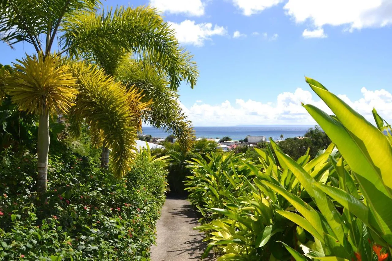 Apartament Les Ilets Du Paradis - Gites Vue Mer A 180° Et Piscine Saint-Francois  Gwadelupa